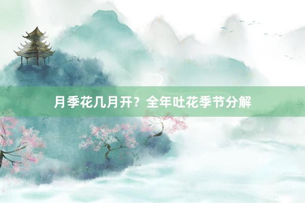 月季花几月开？全年吐花季节分解