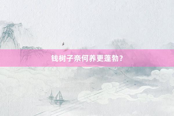 钱树子奈何养更蓬勃？