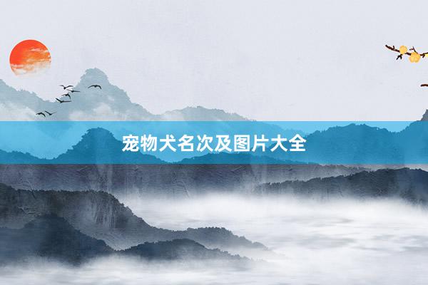 宠物犬名次及图片大全