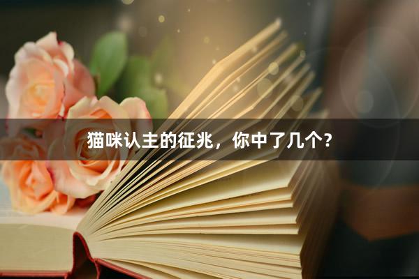 猫咪认主的征兆，你中了几个？